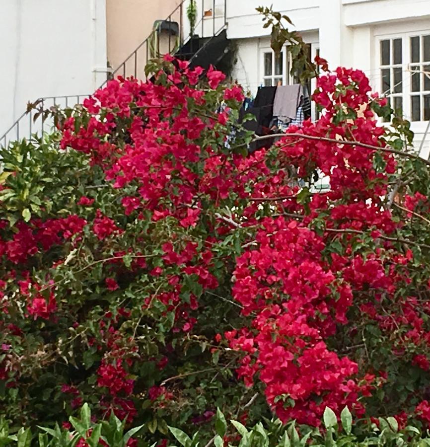 Flores Lisboa Exterior foto